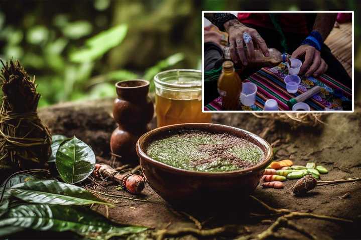 American tourist Aaron Castranova died in Peru after drinking psychedelic tea at spiritual retreat