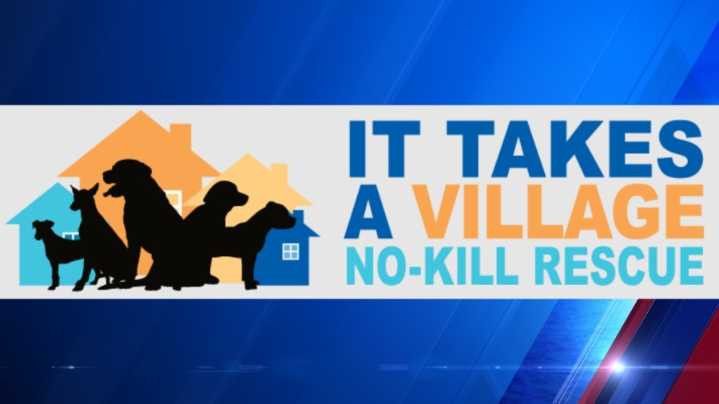 Who's in the News? It Takes a Village Executive Director Tangila Smith