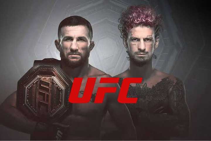 UFC 316 Dvalishvili vs O'Malley 2: Fecha, hora y todo lo que debes saber sobre la revancha