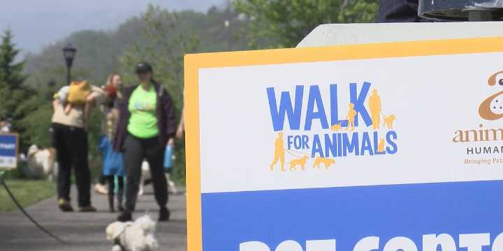 Animal Allies to host annual ‘Walk for Animals’