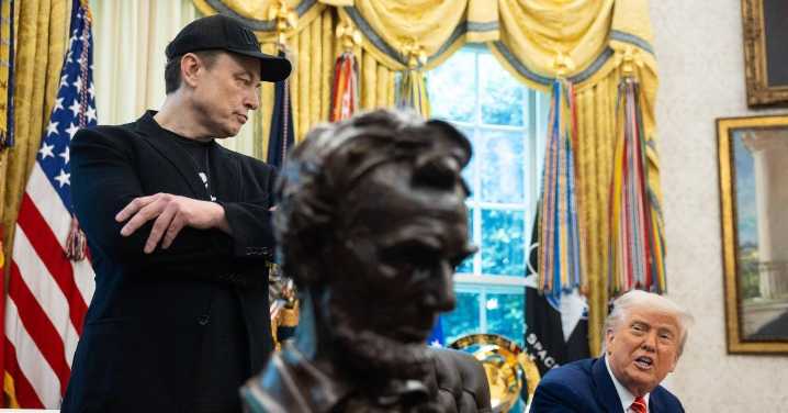 Why Is Elon Musk Mad at Trump?