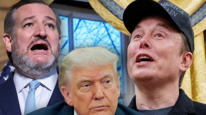 Ted Cruz Says He Was With Donald Trump During Elon Musk X Attack