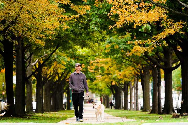 Dog-free park violators in Philly to face $2,000 fines
