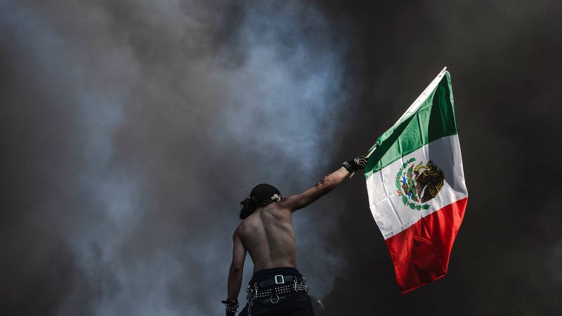 The Mexican flag has become a defining symbol of the LA protests