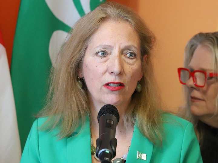Private nursing agencies exploiting staffing crisis: Gelinas