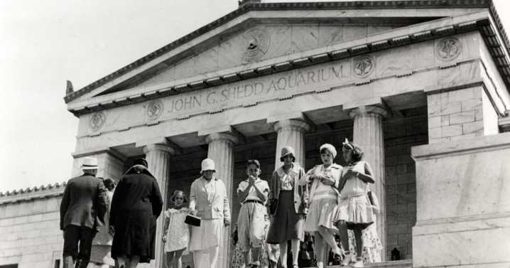 Shedd Aquarium turns 95, shares rare glimpses into its archival opening photos