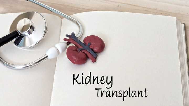 Limited Survival Benefit With Expanded Kidney Donor Criteria