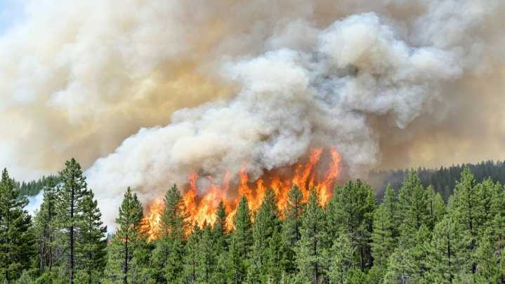 Wildfire Smoke Triggers Air Quality Alert Across South Dakota