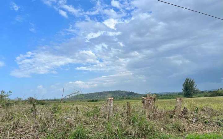 Meteorología pronostica un día parcialmente nublado con lluvias dispersas – NotiCel 