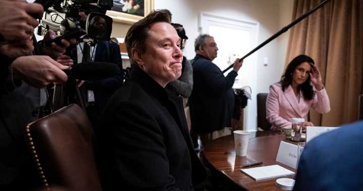 Democrats Should Stay Out of Trump vs. Elon Musk