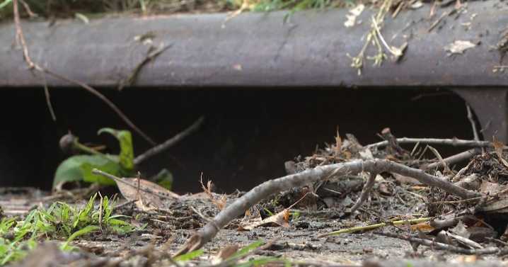 Cleaning crews work to avoid debris buildup in stormwater