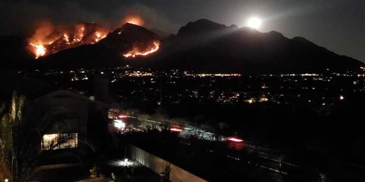 Forest coming back to life after devastating Bighorn Fire