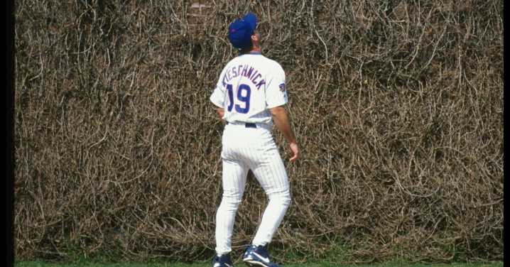Baseball history unpacked, June 6
