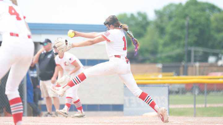 How did Lakeview, Harper Creek do in softball district championships?