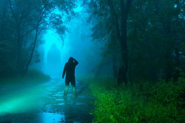 Bigfoot In Illinois: Here’s Why Sightings In Our State Are Up