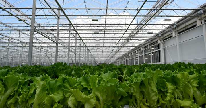 The future of farming is growing in Macon