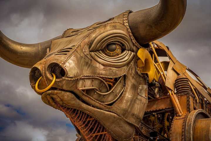 Crypto Soared in May as Institutions, States, and Regulators Embrace Bitcoin: Ikigai's Kling