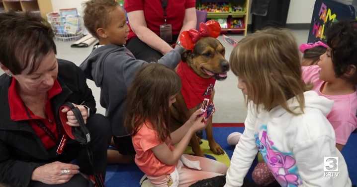 Wanted: volunteers with friendly dogs
