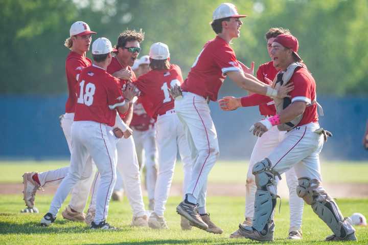 PHOTOS: Frankenmuth baseball battles Swan Valley during a Division 2 regional semifinal