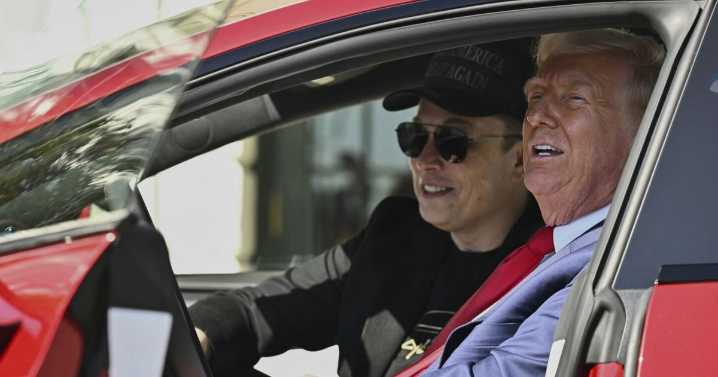 Investors dump Tesla on bet Trump may lash out at Musk through his car company