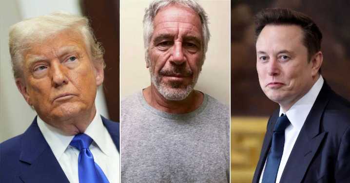 Donald Trump Uses Jeffrey Epstein's Lawyer Against Elon Musk's Accusation