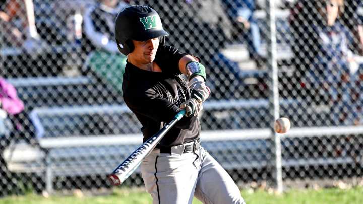 Baseball district roundup: Williamston, Leslie among champions