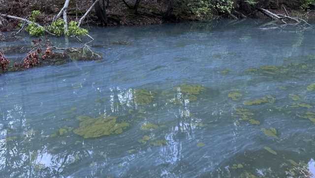 Recreational water watch lifted for some areas of Lake Hartwell