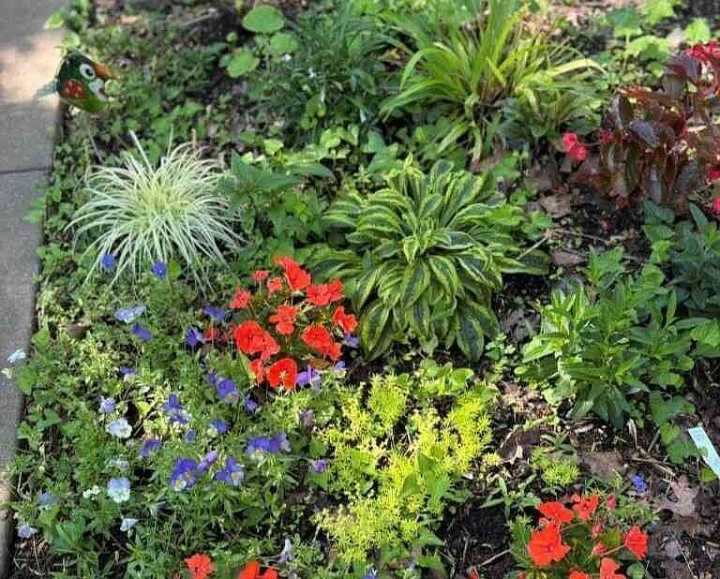 BREAKING GROUND: Spring showers are bringing spring flowers, and vegetables