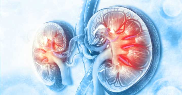 Sotagliflozin effect on HbA1c, weight may vary by kidney function, dose
