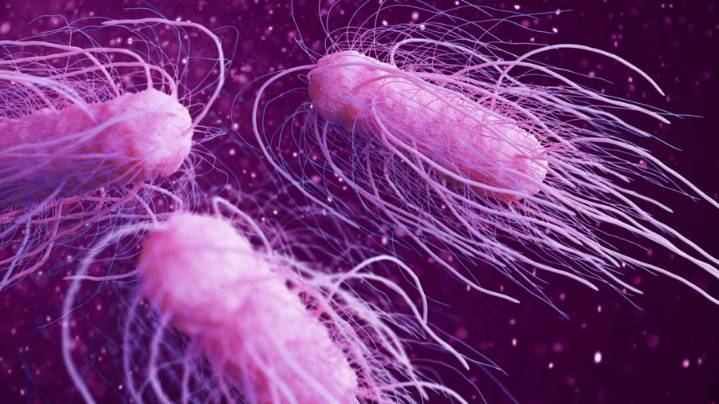 CDC: No salmonella cases linked to egg recall reported in New Mexico