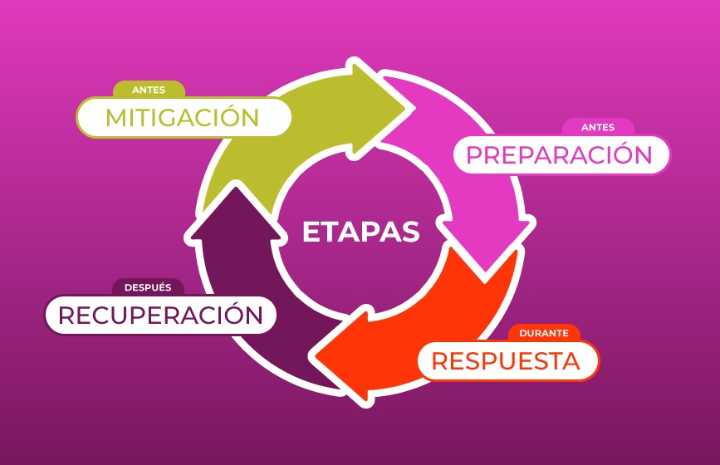 ¿Cuáles son las etapas de un desastre? • Enlace Latino NC