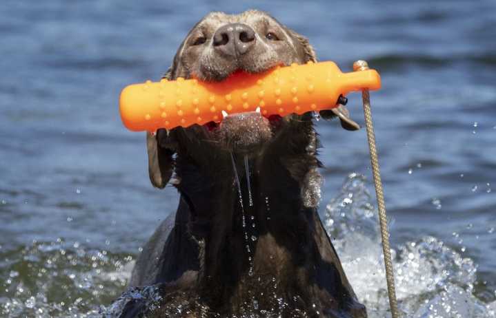 What to know as temperatures climb in and around Seattle