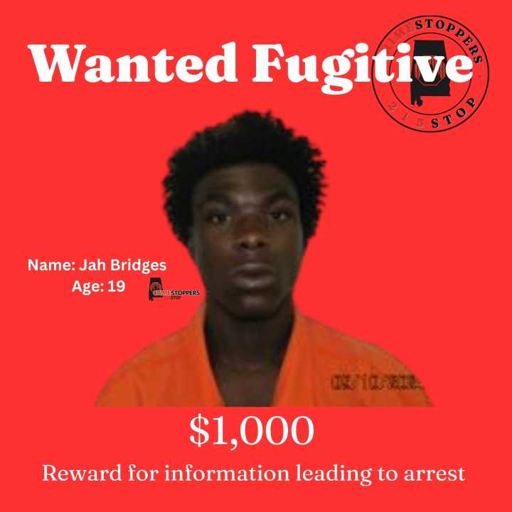 Search underway for attempted murder suspect in Wilcox County