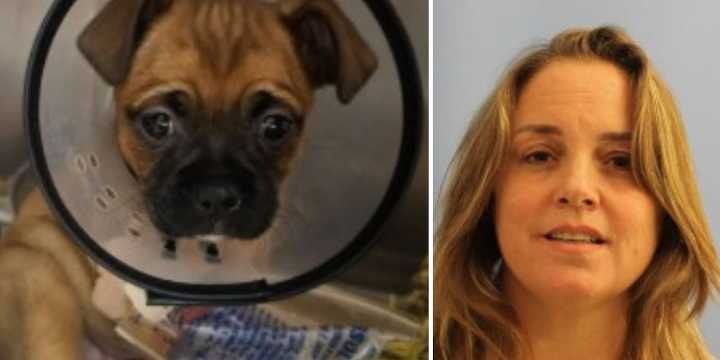 Community tips help police arrest woman accused of injuring, abandoning a puppy in Cañon City