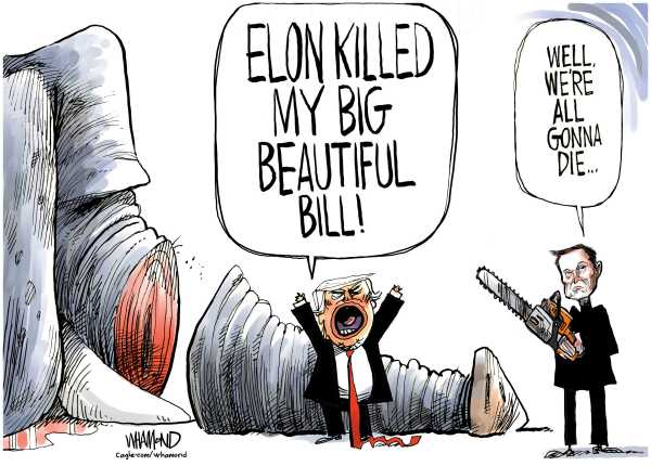 Toon in Friday - Sentinel Colorado