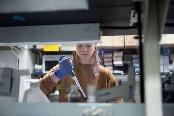 "We dissent": NIH scientists sign declaration against Trump's research cuts