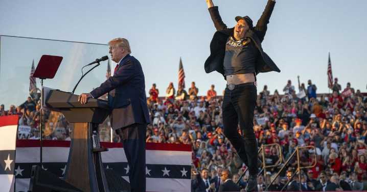 Trump-Musk feud: A timeline of a doomed bromance