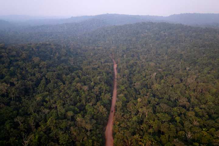 La deforestación en la Amazonía brasileña sube un 92 % en mayo e interrumpe su caída