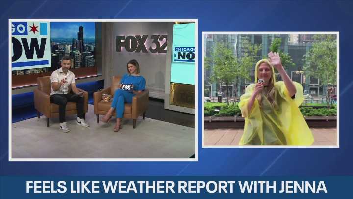 Chicago sees rain - here's your weather report