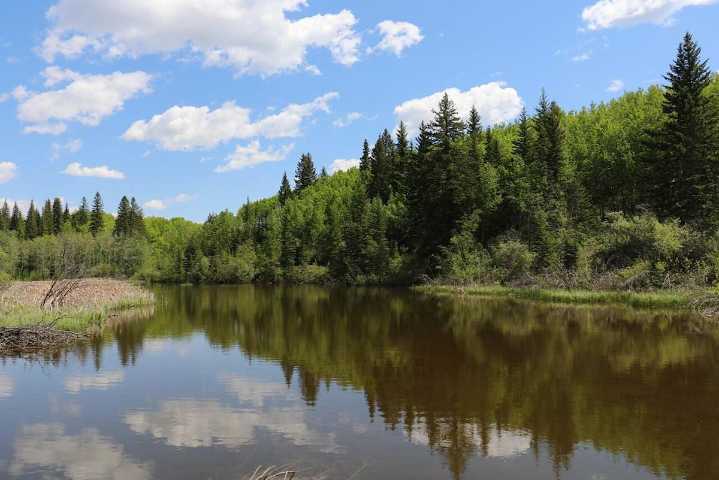 Dynamite discovered in Calgary home on same day explosive is dug up in Weaselhead Flats
