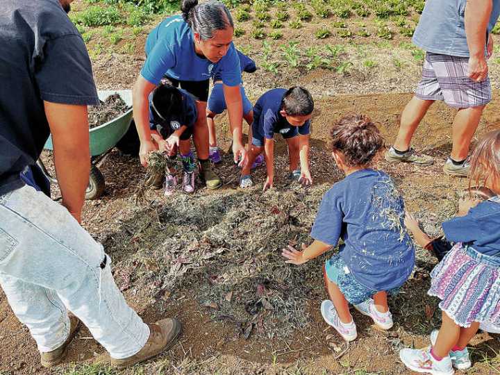 Hawaii’s rural nonprofits stay afloat amid federal funding insecurity