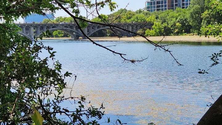 Body found in Lady Bird Lake; investigation underway