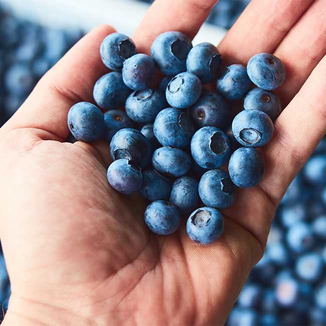 4 Cheap, Natural Superfoods That May Help ‘Grow New Brain Cells’ After 50