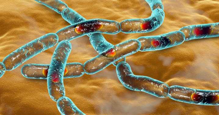Anthrax outbreak alert after one killed and three taken to hospital