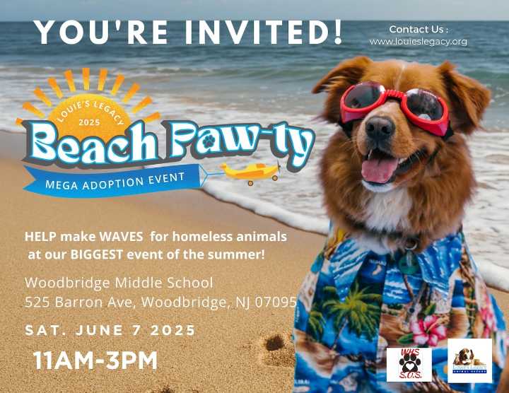 Rain or shine, it’s a beautiful day!  Enjoy the days ahead with an adoptable pet: June 7