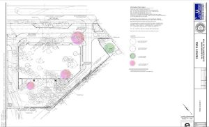 Flower Mound Council approves removal of specimen trees for warehouse development