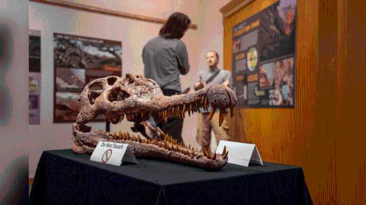 Zion museum's new temporary exhibit delves into research on end