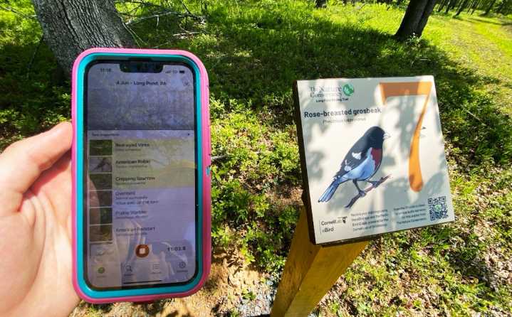 What bird is that? Birding trail opening Saturday in Poconos features interactive audio stations to help with IDs