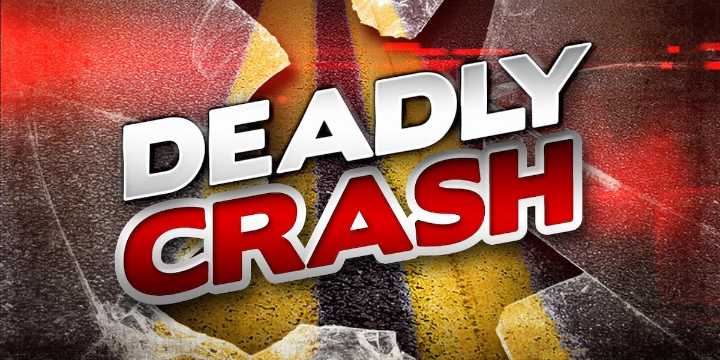 SCHP: 1 killed, 1 injured after utility terrain vehicle crash in Union Co.