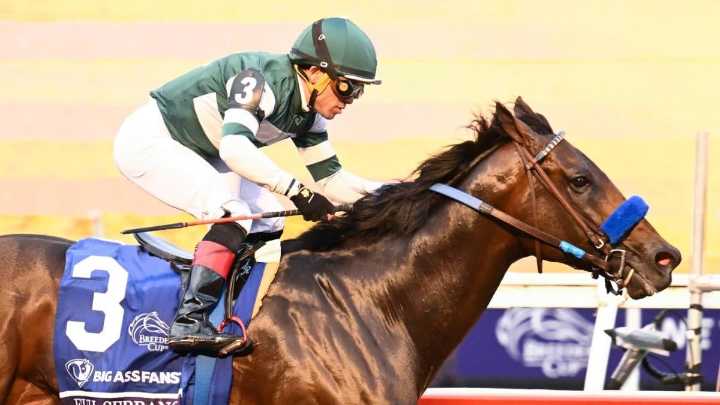 2025 Belmont Stakes predictions, horses, odds, post positions, date: Surprising picks by horse racing expert